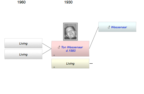 Ton Wassenaar