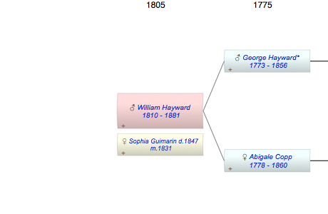 William Hayward