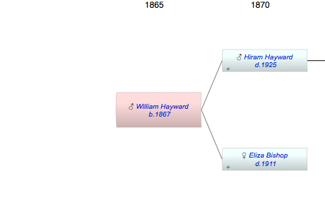 William H Hayward