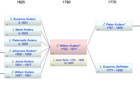Willem Kuiters*