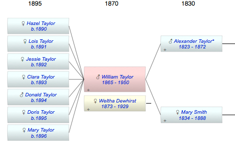 William George Taylor