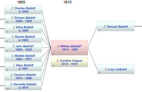 William N Babbitt*