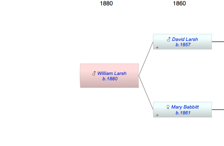 William David Henry Larsh
