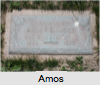Amos Francis Ellwood