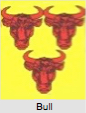 Bull