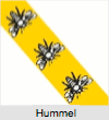 Hummel