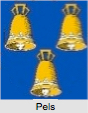 Pels