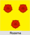 Rozema