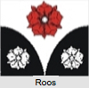 Roos