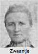 Zwaantje Toetert