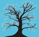 stambonen.nl tree blue